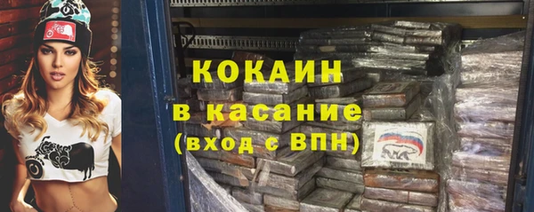 гашик Новозыбков