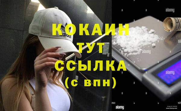 гашик Новозыбков