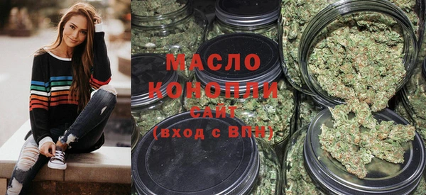 гашик Новозыбков
