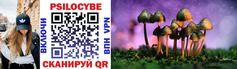 Галлюциногенные грибы Psilocybe Электроугли