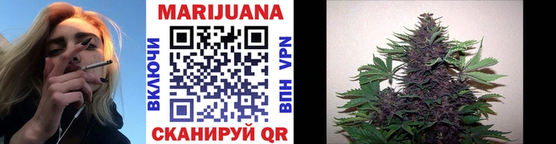 закладки  Электроугли  Бошки марихуана OG Kush 